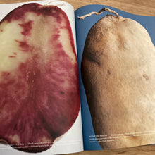 The Plant Issue 24 (Multiple Covers)