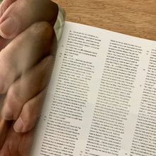 Middle Plane Issue 11