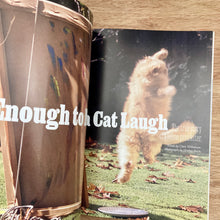 Catnip Issue 2