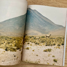 The Plant Issue 25 (Multiple Covers)