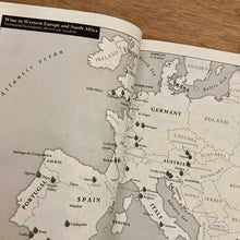 Wine. A Global History