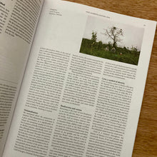 Anchoa Issue 5