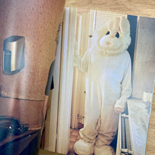 The New Order Volume 36 (Multiple Covers)