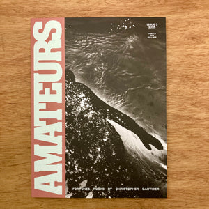 Amateurs Issue 3 (Multiple Covers)