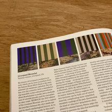 Frieze Issue 253