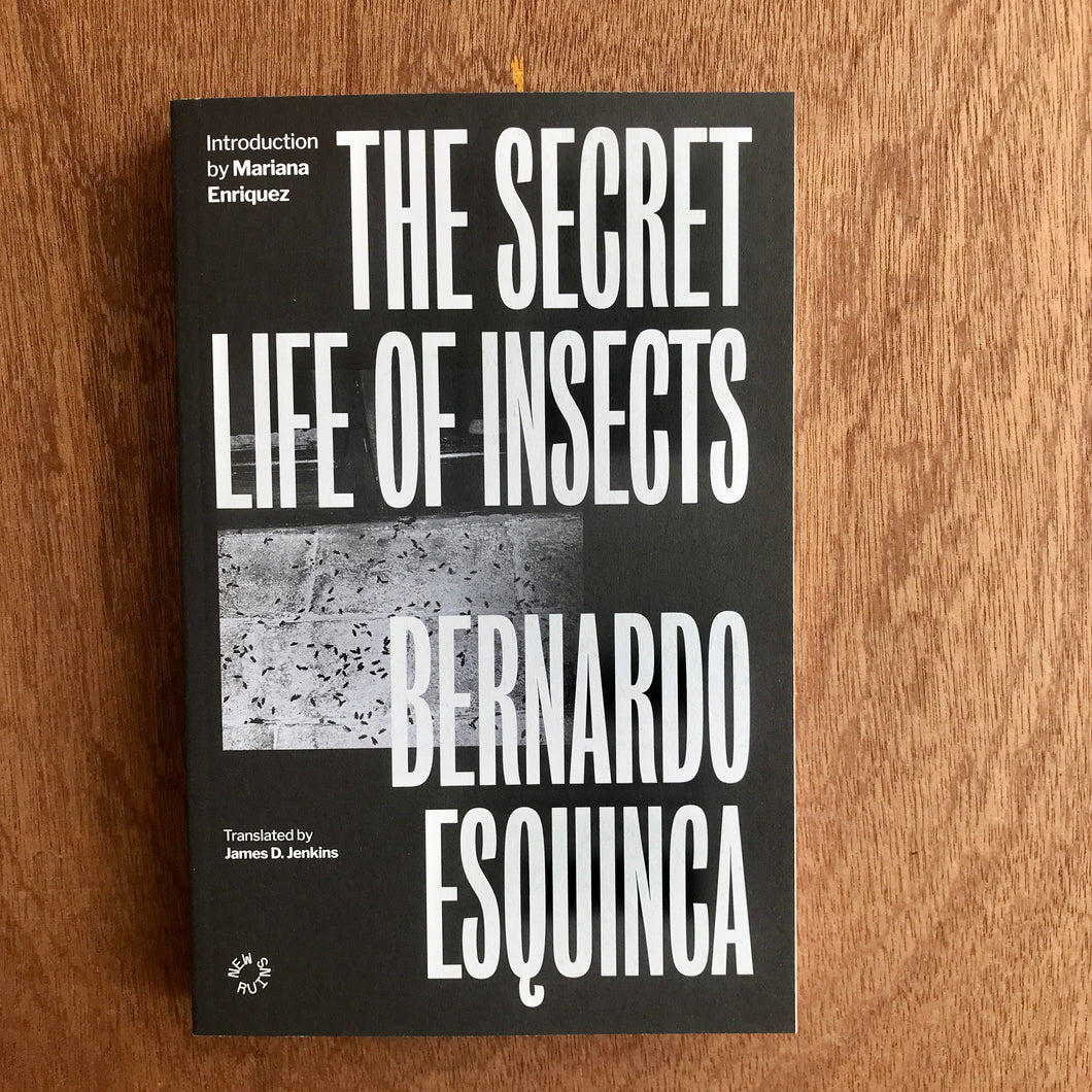 The Secret Life Of Insects