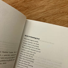 Fourteen Poems Issue 17