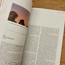 We Jazz Issue 19 - Milestones