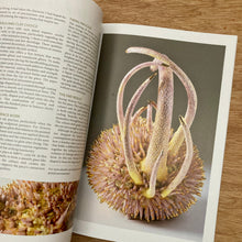 Ceramic Review Issue 338