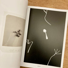 Aperture Issue 263