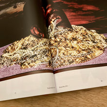Frieze Issue 253