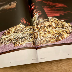Frieze Issue 253