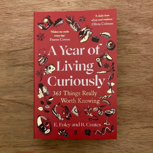 A Year Of Living Curiously
