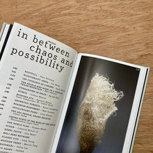 Imagine - Embracing Chaos And Possibility In A Planetary Emergency