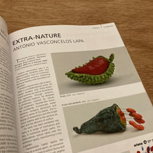 New Ceramics Issue 6/25