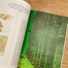Frieze Issue 259