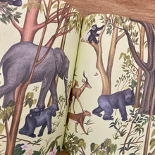 If You Make A Call On A Banana Phone