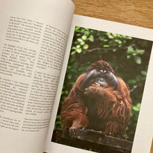 Lodestars Anthology - Islands