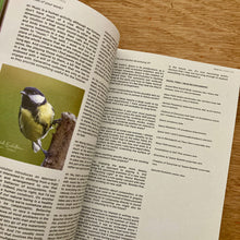 We Jazz Issue 15 - Forfolks