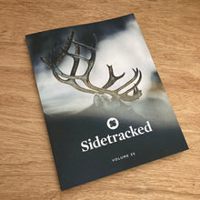 Sidetracked Issue 35
