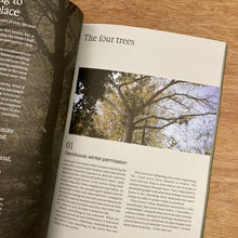Meander Issue 3