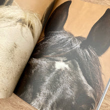 Hunger Issue 39 (Multiple Covers)