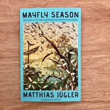 Mayfly Season