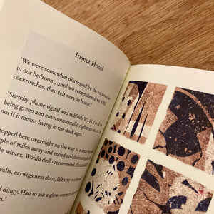 Dwell (Signed Copies)