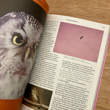 Tools Issue 6