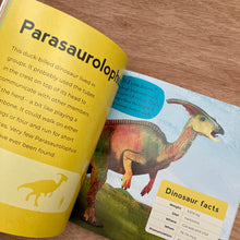 My First Book Of Dinosaurs