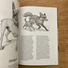 Hunger Issue 36 (Multiple Covers)