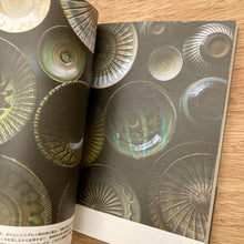 Clothing Shogun Respects