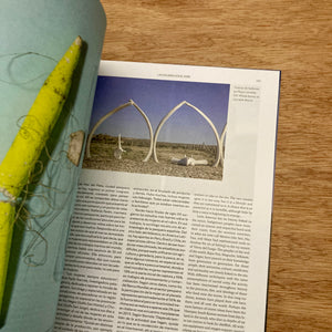 Anchoa Issue 5