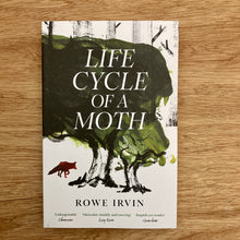 The Life Cycle Of A Moth
