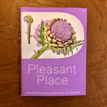 Pleasant Place Issue 4