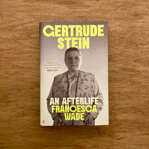 Gertrude Stein: An Afterlife