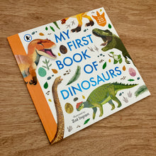 My First Book Of Dinosaurs