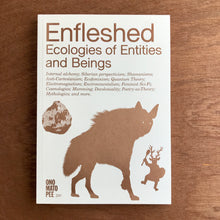 Enfleshed - Ecologies Of Entities And Beings