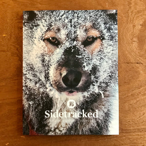 Sidetracked Issue 29