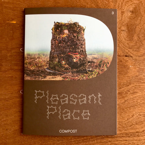 Pleasant Place Issue 3