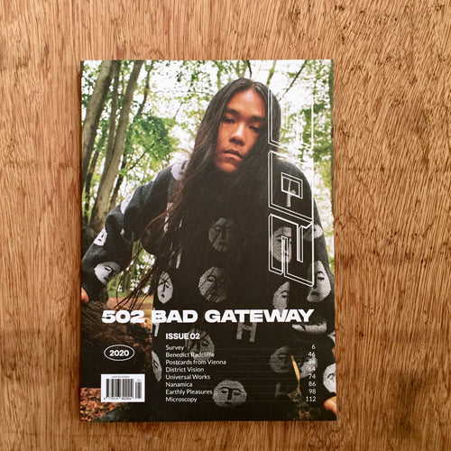 502 Bad Gateway Issue 2
