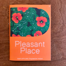 Pleasant Place Issue 2