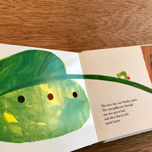 The Very Hungry Caterpillar