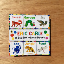 The World Of Eric Carle: Big Box Of Little Books